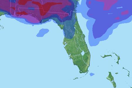 Precipitation