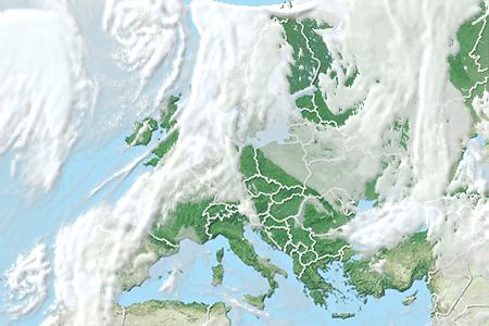 Satelliitti Satelliitti