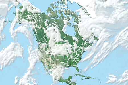 Satelliitti Satelliitti