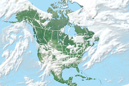 Satelliitti Satelliitti