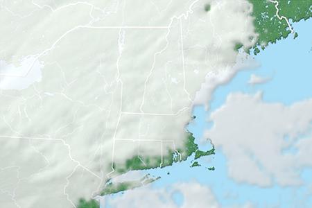 Satelliitti Satelliitti