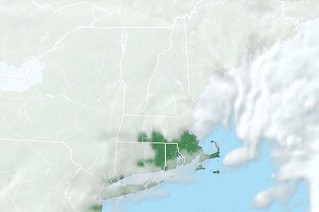 Satelliitti Satelliitti