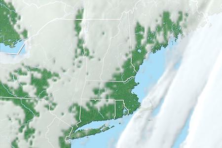 Satelliitti Satelliitti