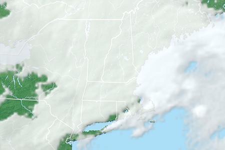 Satelliitti Satelliitti