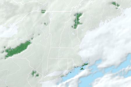 Satelliitti Satelliitti