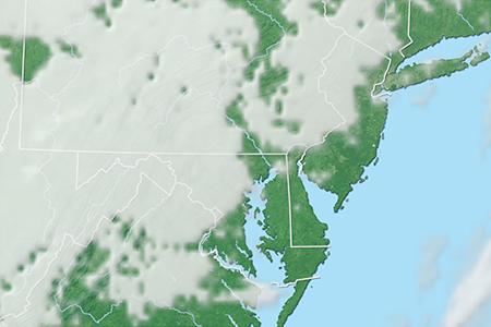 Satelliitti Satelliitti