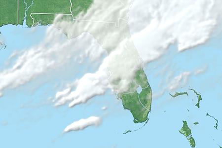 Satelliitti Satelliitti