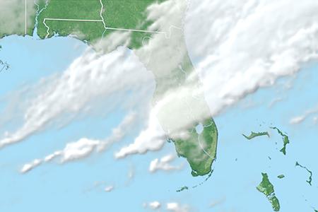 Satelliitti Satelliitti