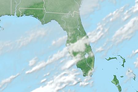 Satelliitti Satelliitti