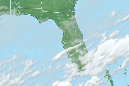 Satelliitti Satelliitti