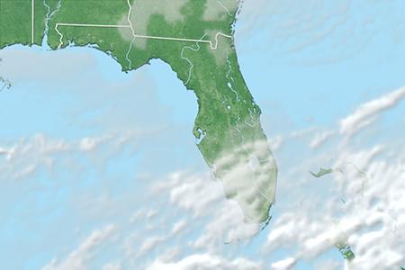 Satelliitti Satelliitti