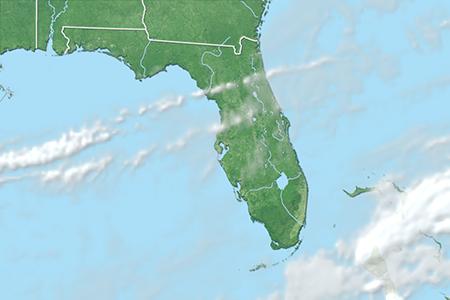 Satelliitti Satelliitti