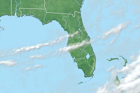 Satelliitti Satelliitti