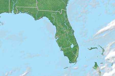 Satelliitti Satelliitti