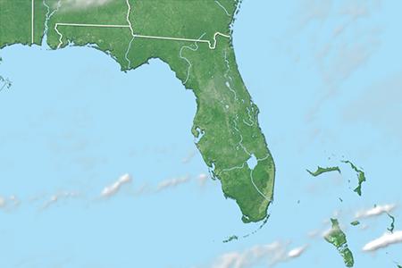 Satelliitti Satelliitti