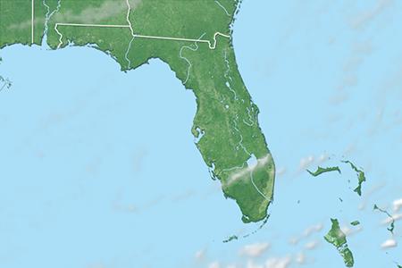 Satelliitti Satelliitti