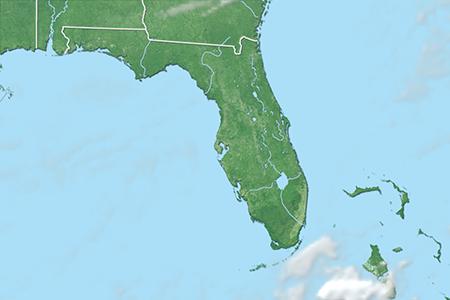 Satelliitti Satelliitti