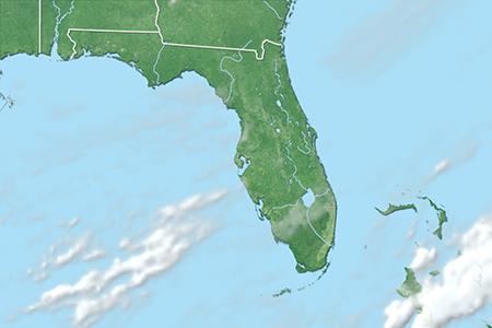 Satelliitti Satelliitti