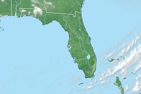 Satelliitti Satelliitti