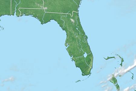 Satelliitti Satelliitti