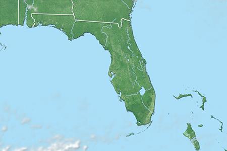 Satelliitti Satelliitti