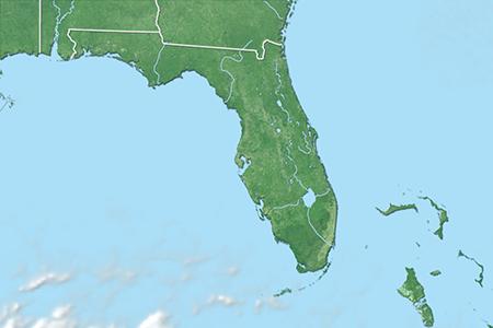 Satelliitti Satelliitti