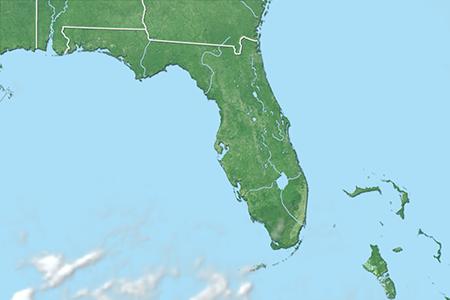 Satelliitti Satelliitti