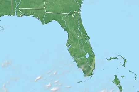 Satelliitti Satelliitti