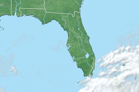 Satelliitti Satelliitti