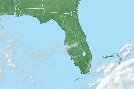 Satelliitti Satelliitti