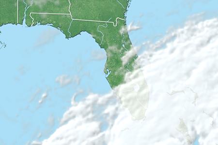 Satelliitti Satelliitti