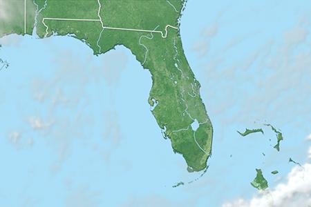 Satelliitti Satelliitti