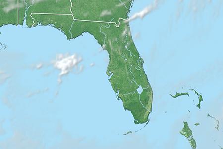 Satelliitti Satelliitti