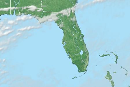 Satelliitti Satelliitti