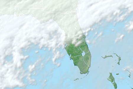 Satelliitti Satelliitti