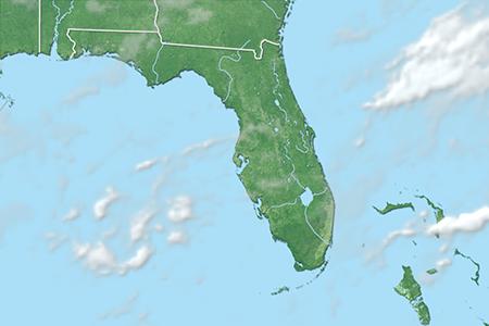 Satelliitti Satelliitti