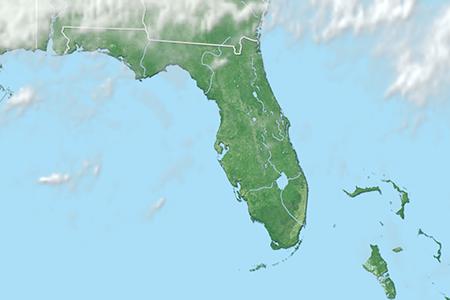 Satelliitti Satelliitti