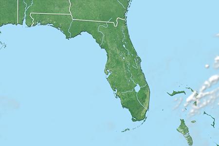 Satelliitti Satelliitti