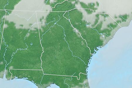 Satelliitti Satelliitti