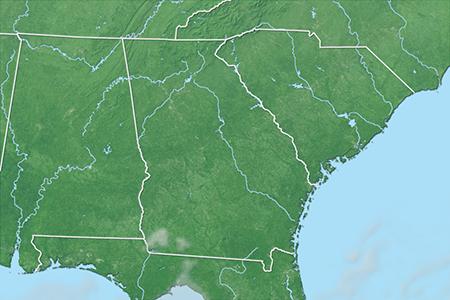 Satelliitti Satelliitti