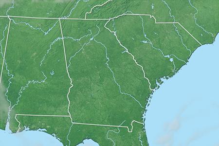 Satelliitti Satelliitti