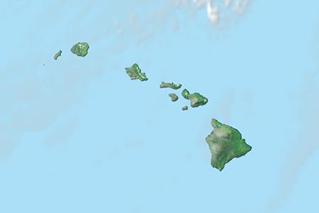 Satelliitti Satelliitti