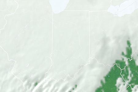 Satelliitti Satelliitti