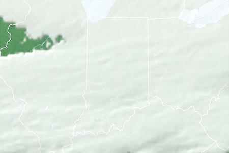 Satelliitti Satelliitti