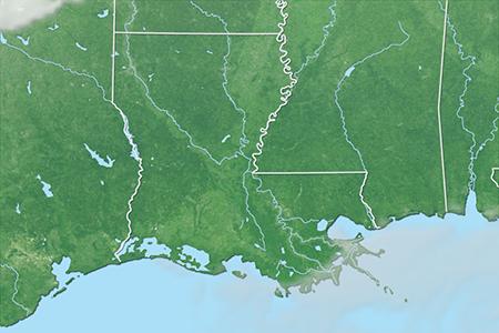 Satelliitti Satelliitti