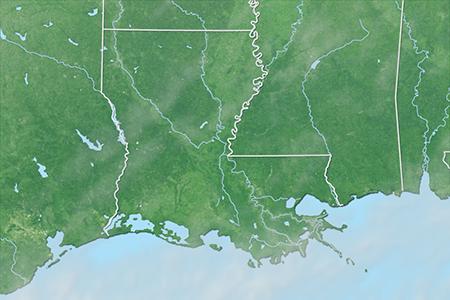 Satelliitti Satelliitti