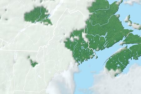 Satelliitti Satelliitti