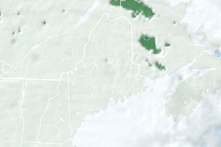 Satelliitti Satelliitti