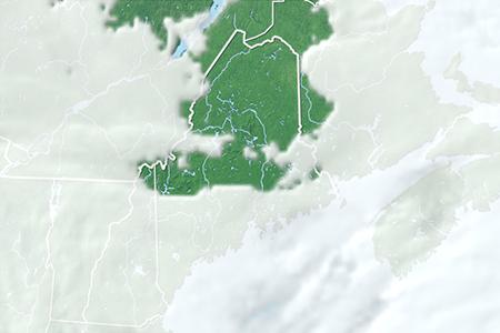 Satelliitti Satelliitti