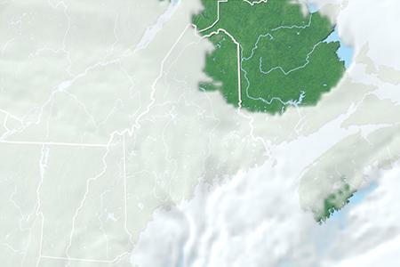 Satelliitti Satelliitti